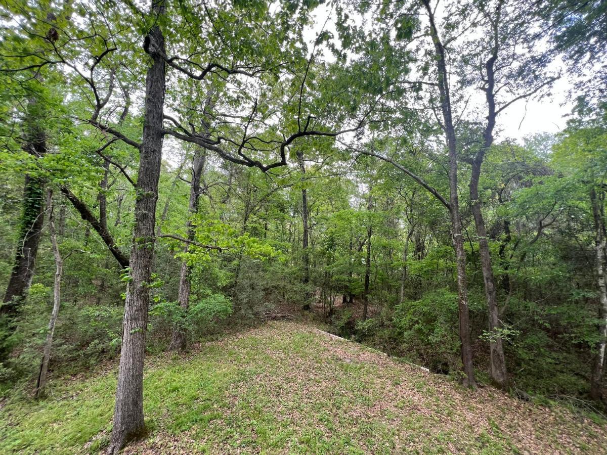 2 Bdrm Treehouse Hideout- Lake Conroe With Boat Ramp Монтгомері Екстер'єр фото